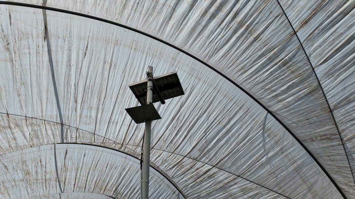 Punto de medici&oacute;n con panel solar montado en alto, bajo la malla del invernadero.